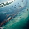 Deciphering The Impact of Shell's Oil Spill in the Gulf of Mexico on Local Fisheries