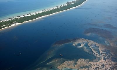 Oil Spill in the Gulf of Mexico: A Historical Perspective and Its Global Repercussions