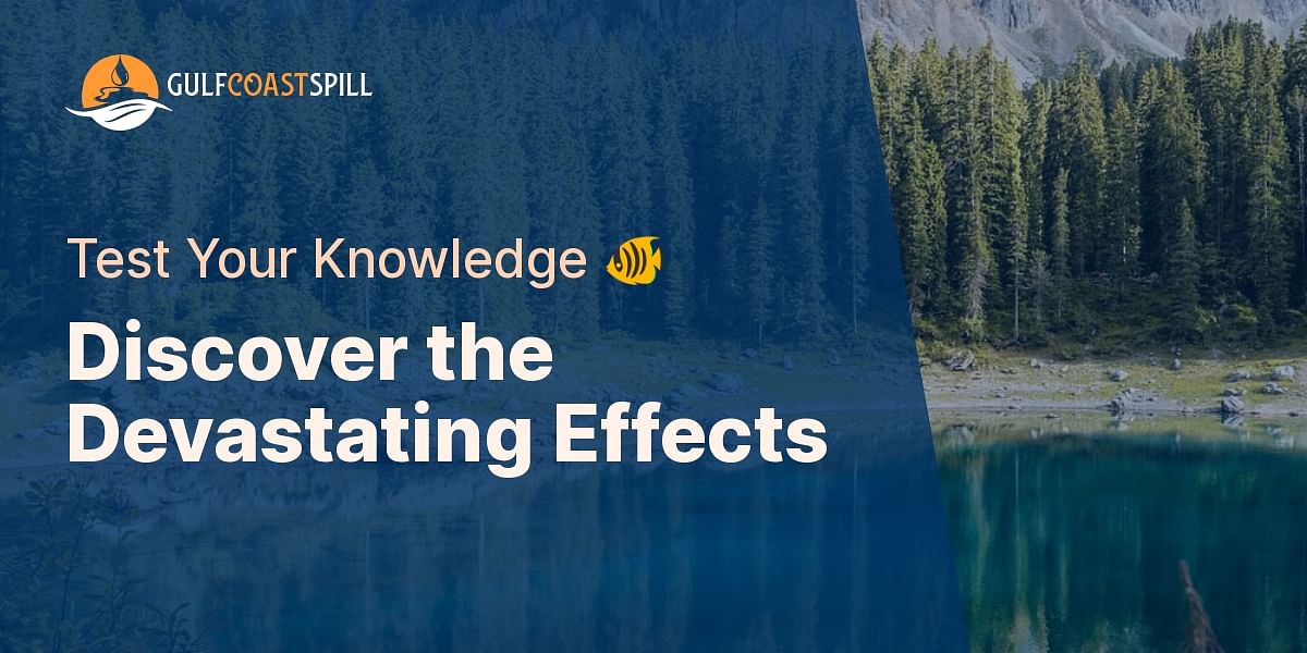 Impacts of Oil Spills on Marine and Coastal Ecosystems Quiz Biology Diagrams