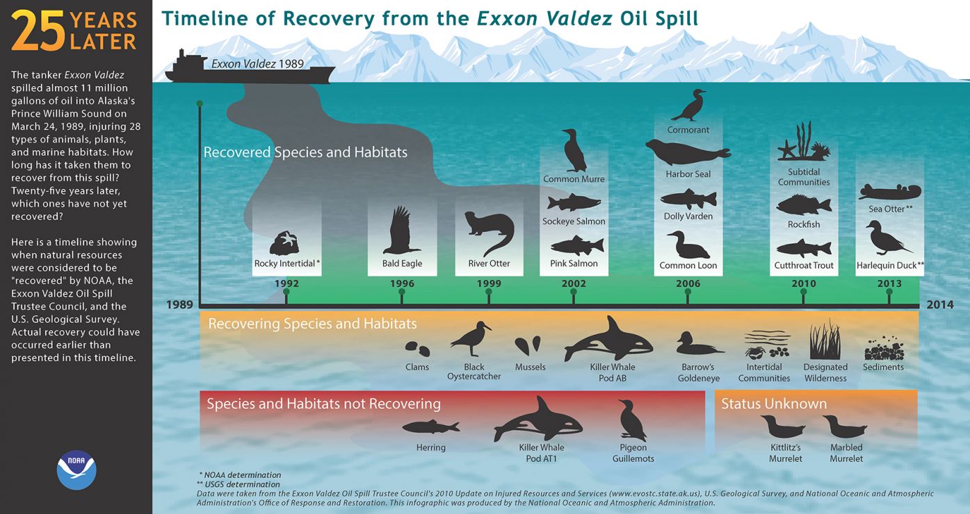 Infographic showing the dispersion of oil in the Gulf of Mexico after the Deepwater Horizon oil spill