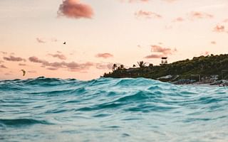 🔬 Taylor Energy's Oil Spill Cleanup Methods Quiz